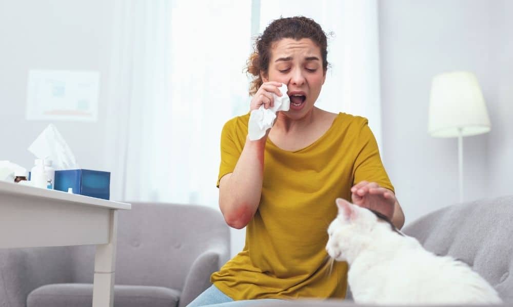 cat-allergy